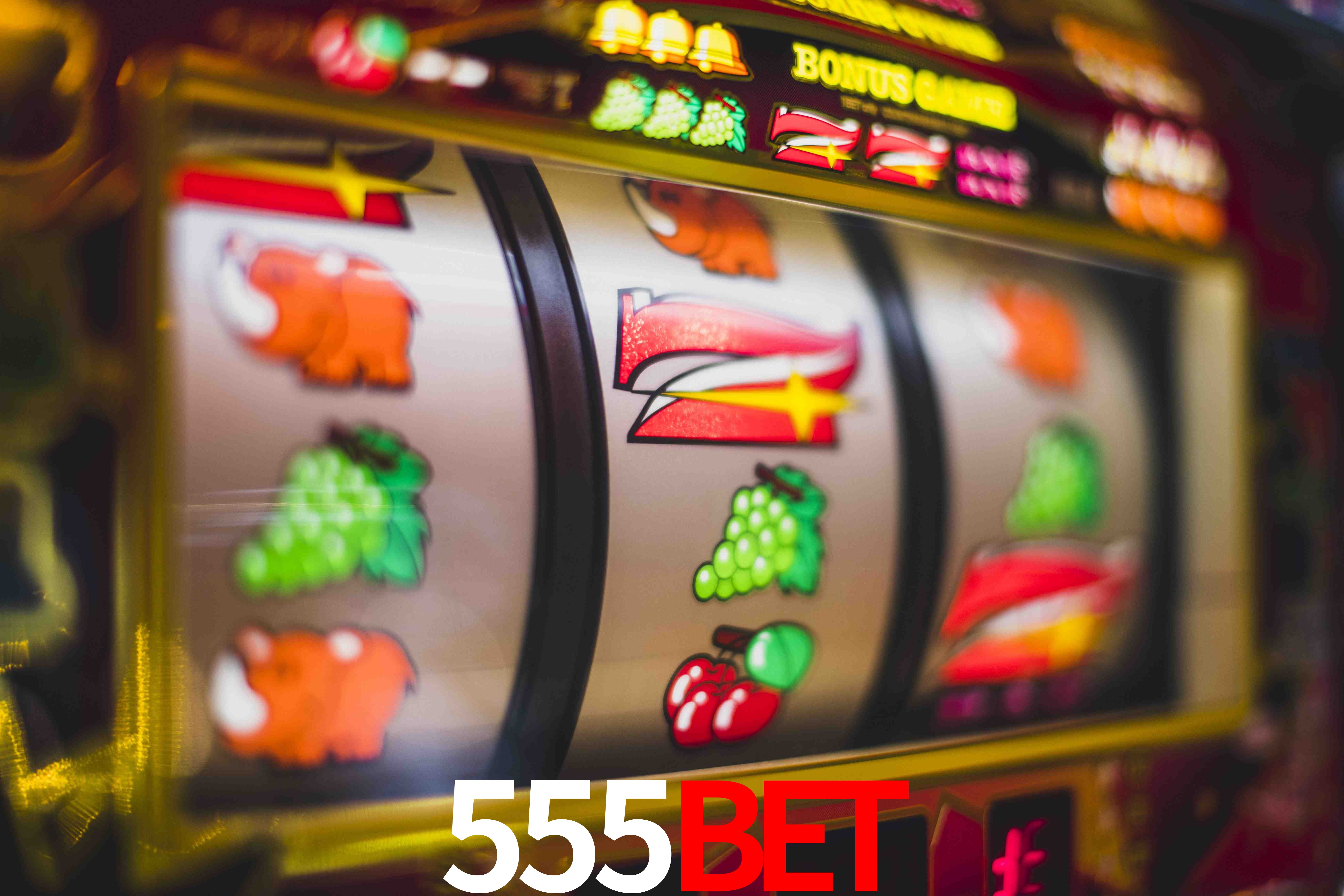 Experiência VIP 555bet